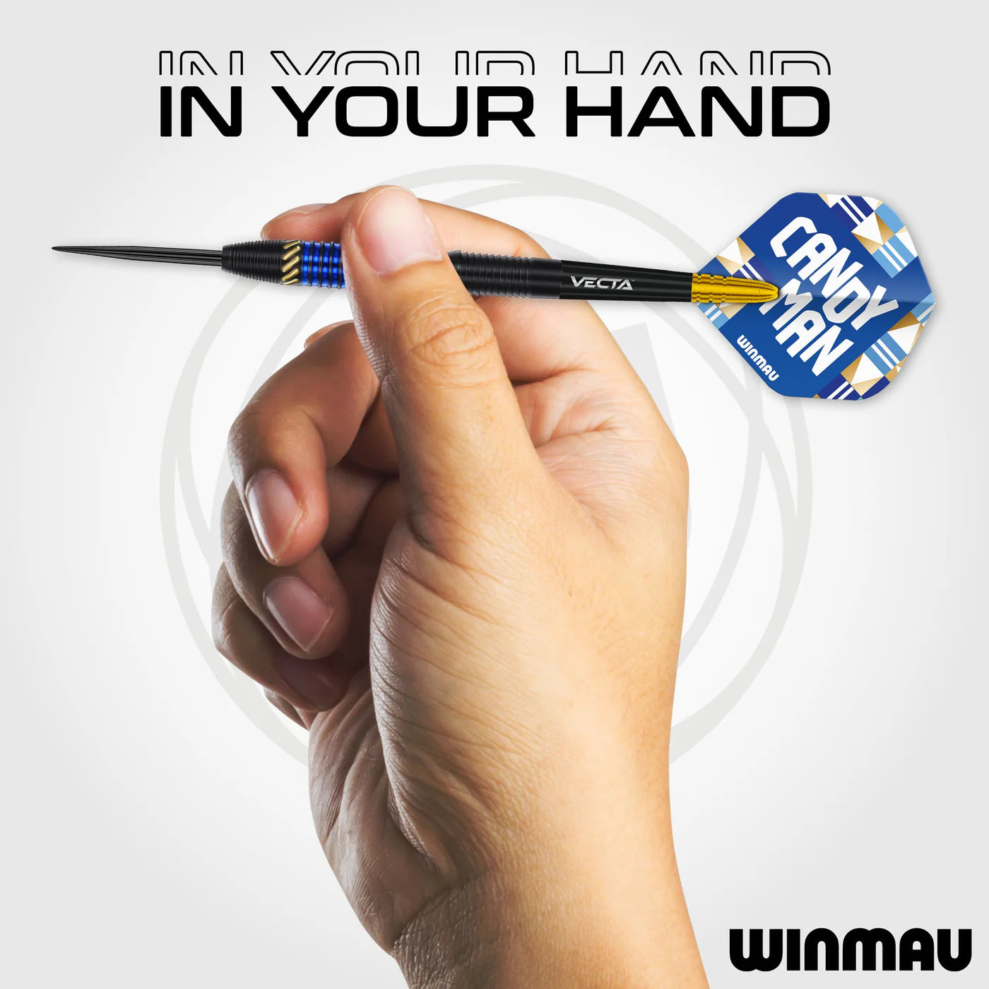 Rashad Sweeting Darts | Winmau