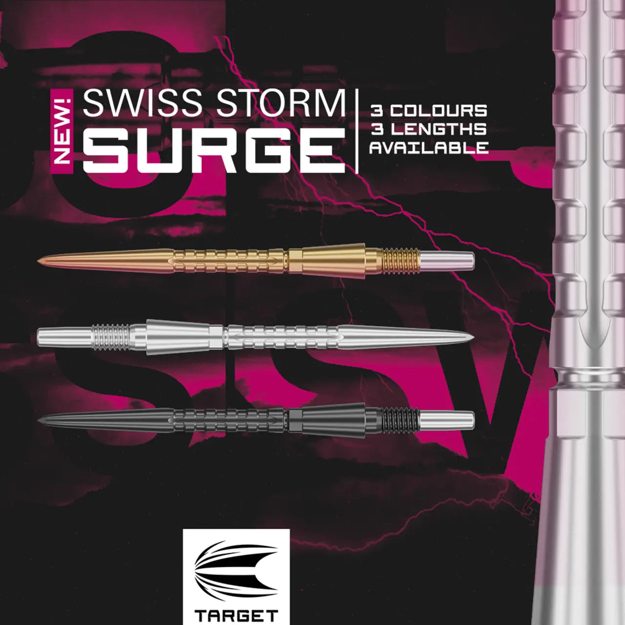 Swiss Storm Surge Points | Target