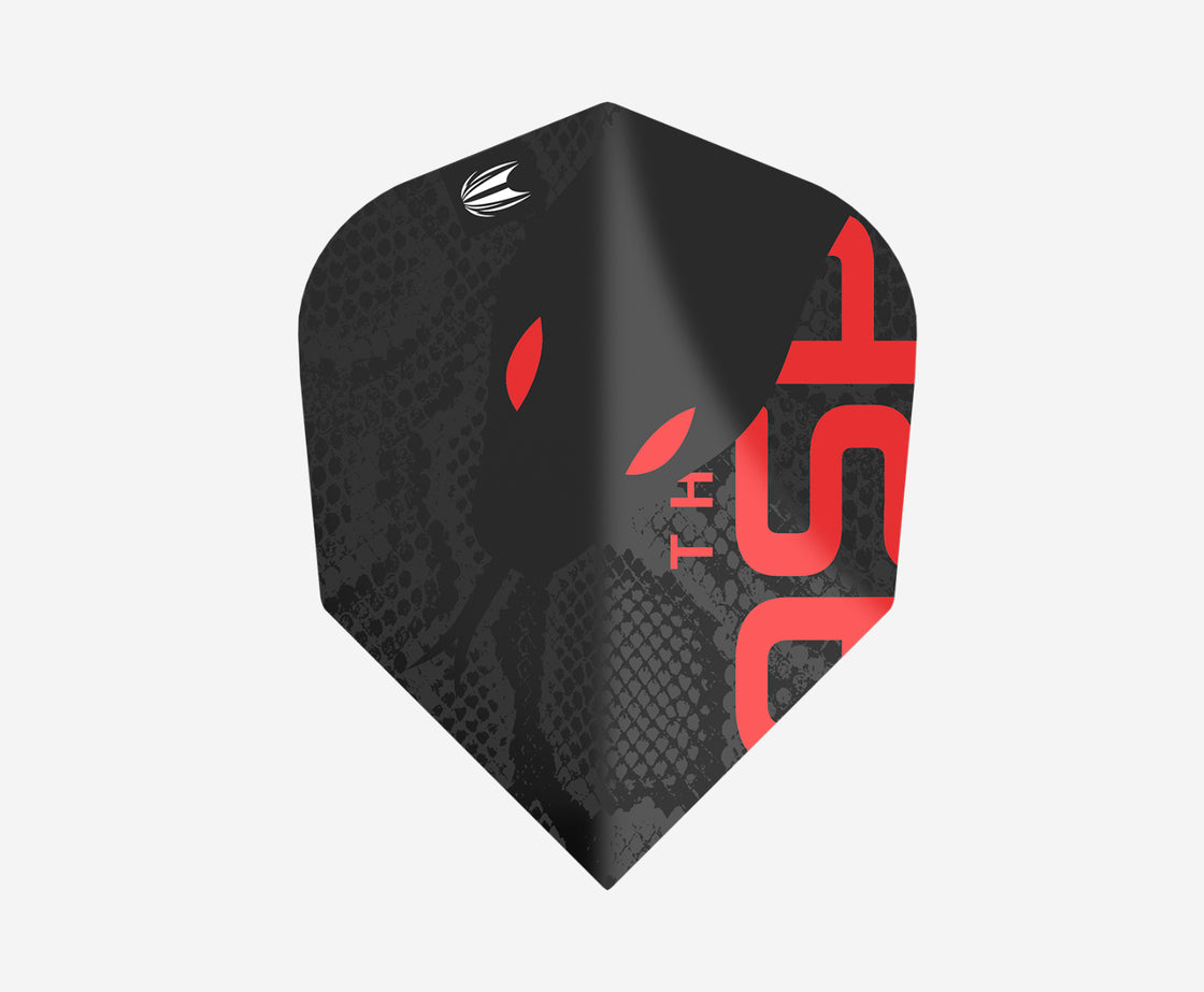 Nathan Aspinall Black Edition Flights | Target