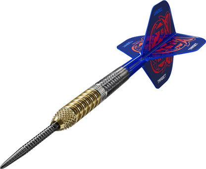 Raymond van Barneveld G6 SP | Target