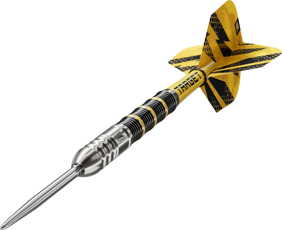 Buzz 02 SP Steel Tip Darts | Target