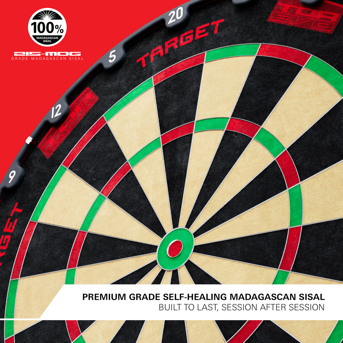 TOR EVO Dartboard | Target