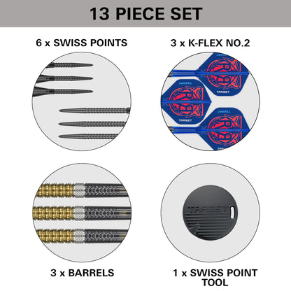 Raymond van Barneveld G6 SP | Target