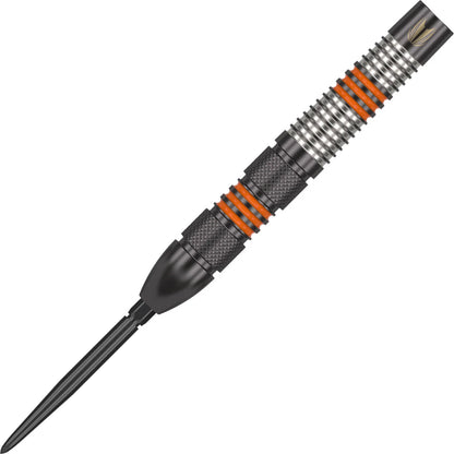 Raymond Van Barneveld Black Edition SP | Target