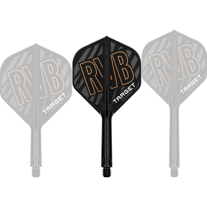 K-Flex Raymond van Barneveld | Target