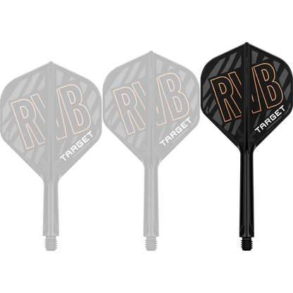 K-Flex Raymond van Barneveld | Target