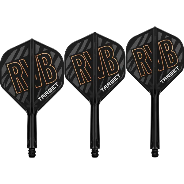 K-Flex Raymond van Barneveld | Target
