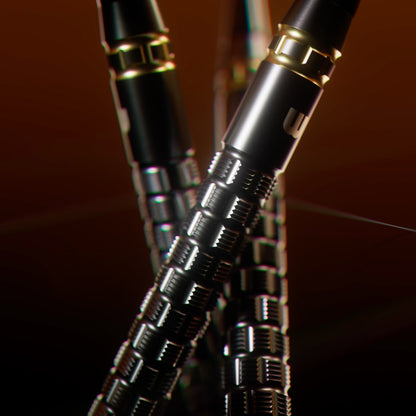 Gian van Veen TS Switch Point Darts | Winmau
