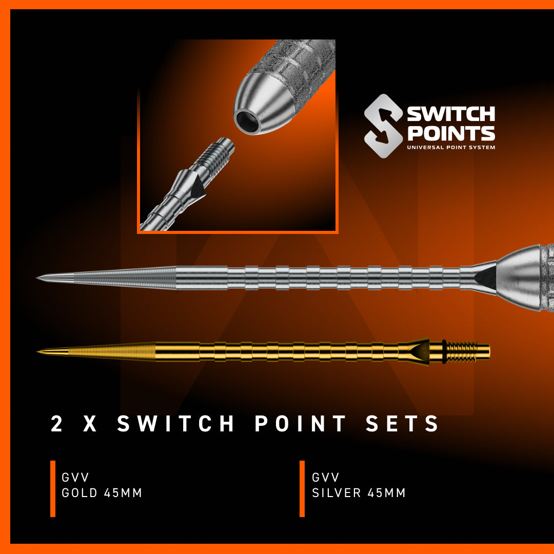 Gian van Veen W-Max Switch Point Darts | Winmau
