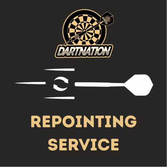 Dart Repointing Service | Dart Nation