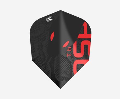 Nathan Aspinall Black Edition Flights | Target