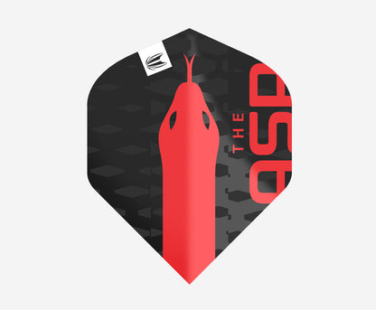 Nathan Aspinall G2 Pro.Ultra Flights | Target