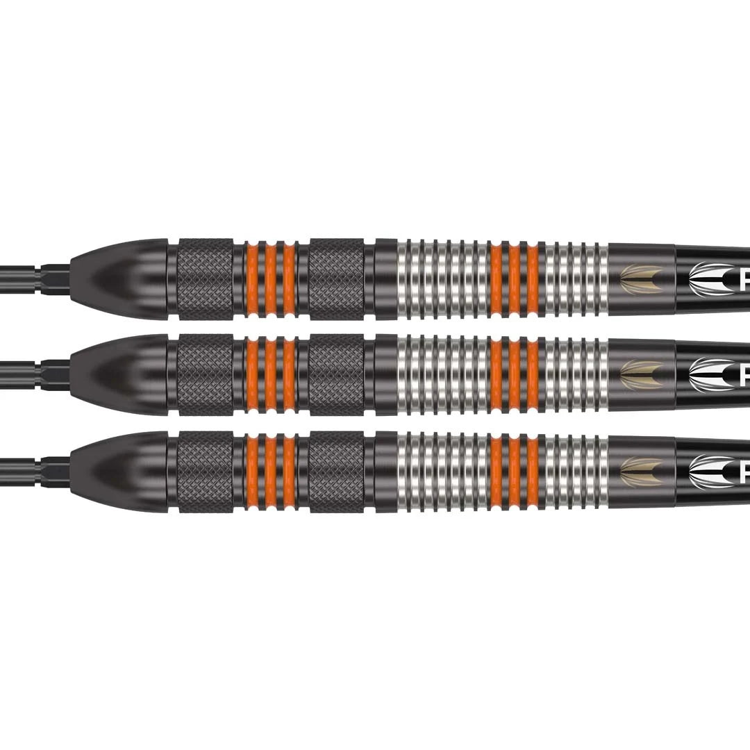 Raymond Van Barneveld Black Edition SP | Target